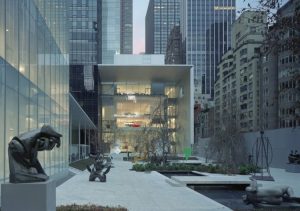 Museum Of Modern Art New York